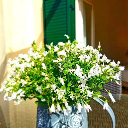 メドゥリツ パレス ルーム ＆ アパート シベニク