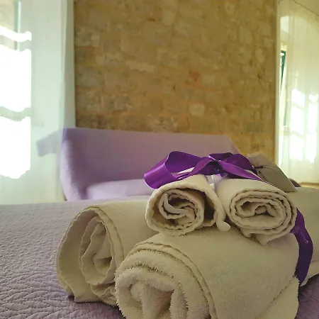 メドゥリツ パレス ルーム ＆ アパート *