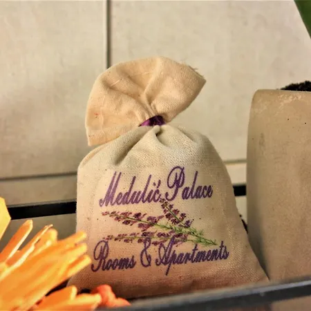 メドゥリツ パレス ルーム ＆