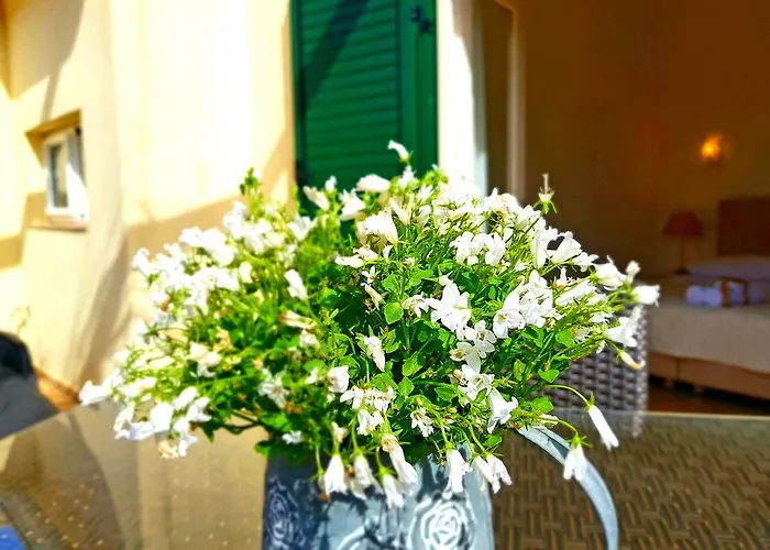 Medulić Palace Rooms&apartments Apartament Szybenik